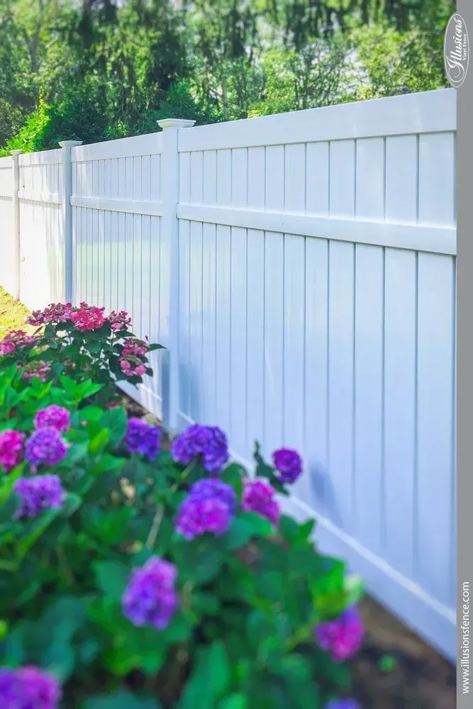 White vinyl fence with blooming purple and pink hydrangeas.