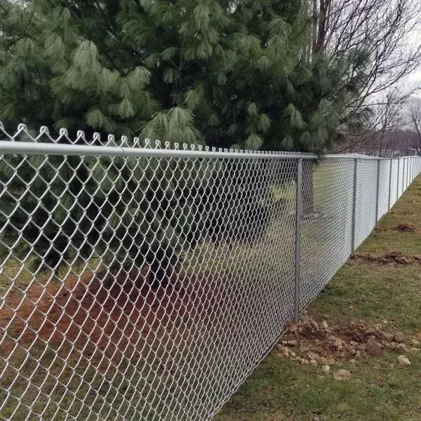 Chain-link fence with a pointed top, bordering a grassy area and trees.